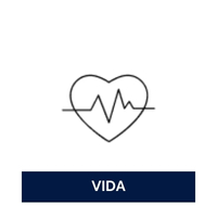 seguro de vida