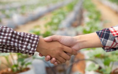 Siembra Protección, Cosecha Tranquilidad: Seguros Agrarios para un Futuro Mejor