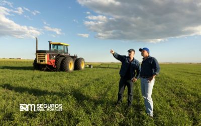 Seguro agrícola: protegiendo tus cultivos ante los caprichos del clima