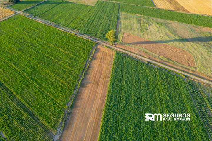 contratar seguro agricola para el campo